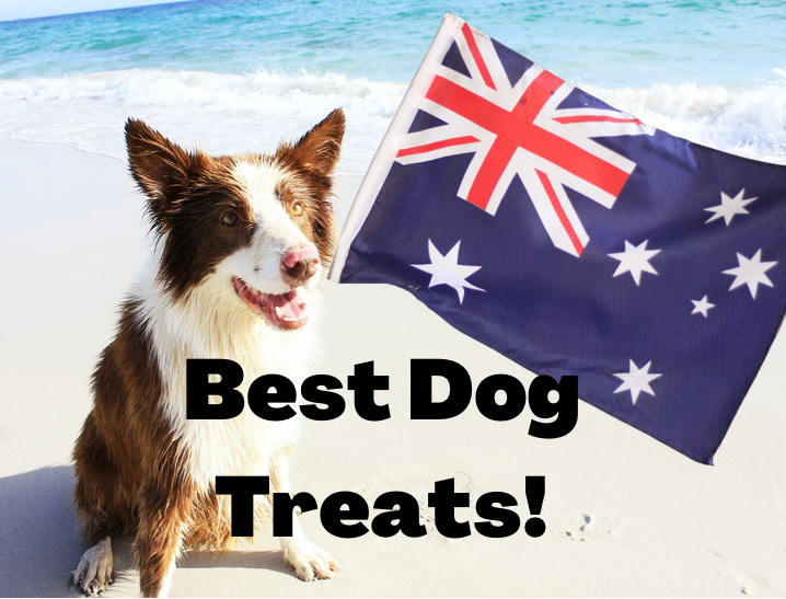 Top 5 Best Australian Dog Treats To Buy Updated 2022 Farmer Pete s