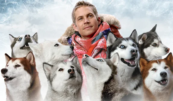 Famous movies shop about dogs