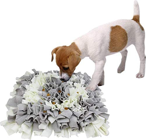Snuffle Mat with a small dog being entertained by playing with it