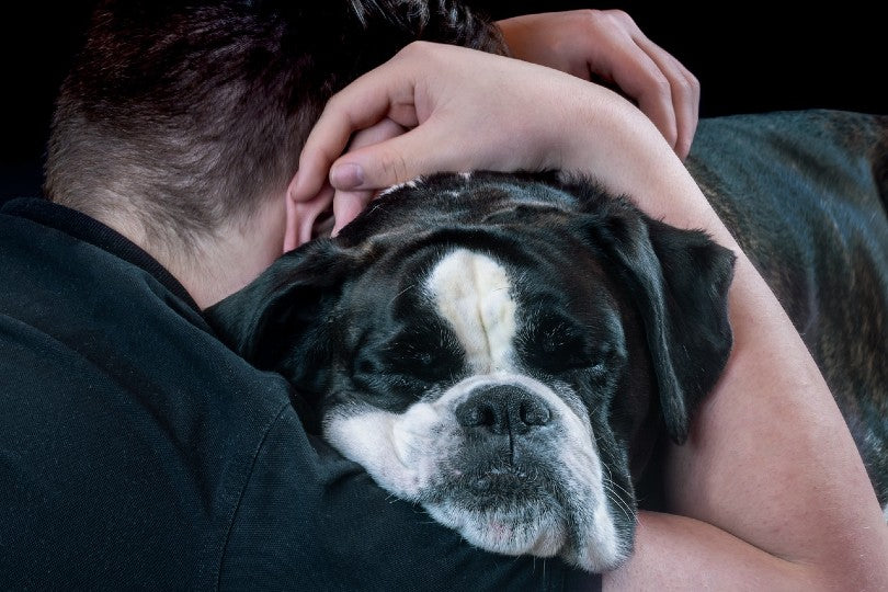 Man hugging an affectionate boxer (dog)