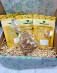 Gift Box Small - Rabbits, Guinea Pigs & Rats