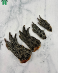 Crocodile Feet