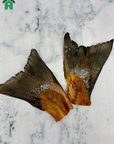 Salmon Tails & Frames