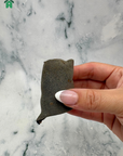 Shark Skin Rolls