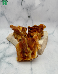 Crocodile Tail Bone Chunks