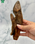 Pork Trotter Halves