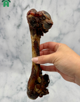 Roo Leg Bone