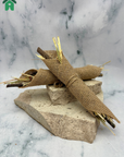 Apple Stick Cannoli 2 Pieces