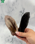 Lamb Ears (Fur on)