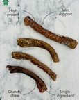Lamb Trachea
