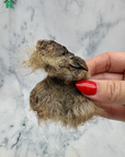 Roo Jewels W/Fur (Testicles)