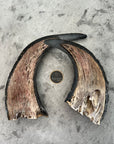 Buffalo Horn 1/2