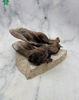 Kangaroo Ear with Fur Dog Treat made by Farmer Pete's