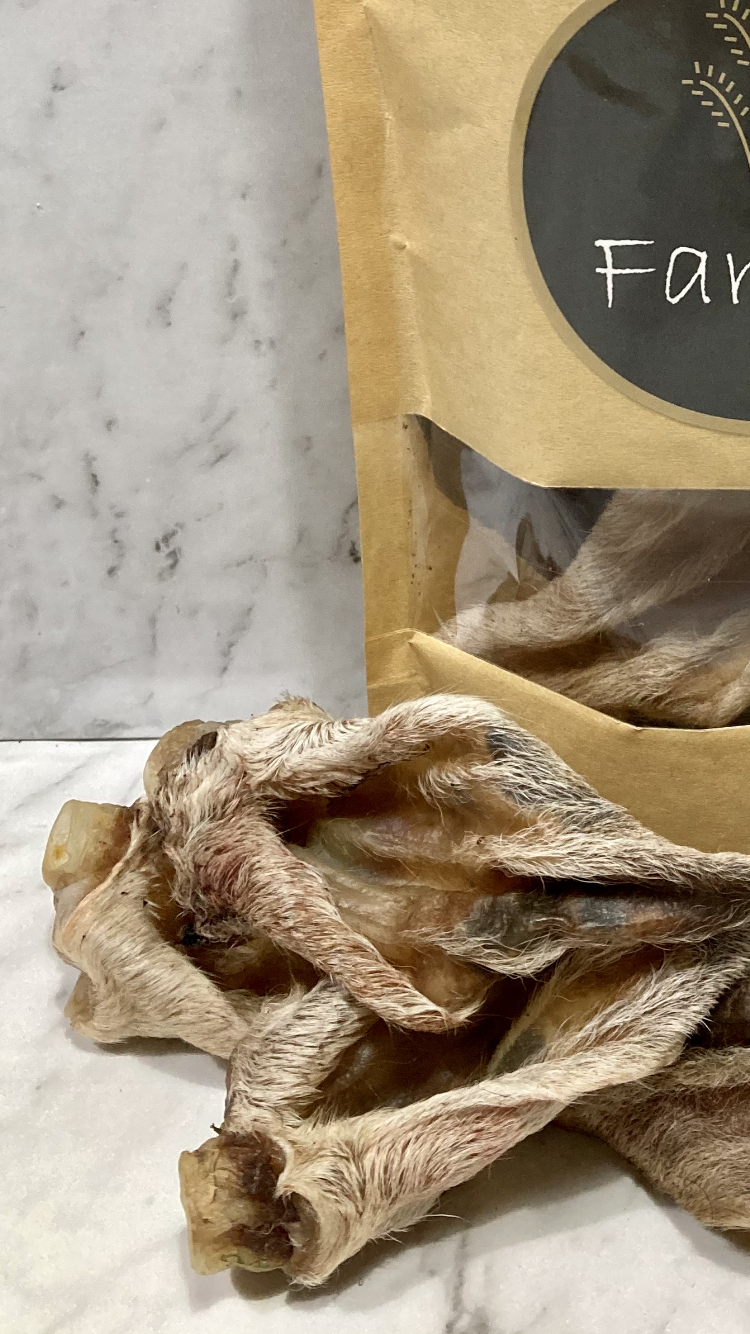 Lamb ears for 2024 puppy