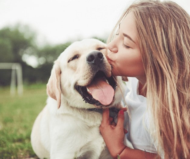 Woman kisses her Labrador Retriever