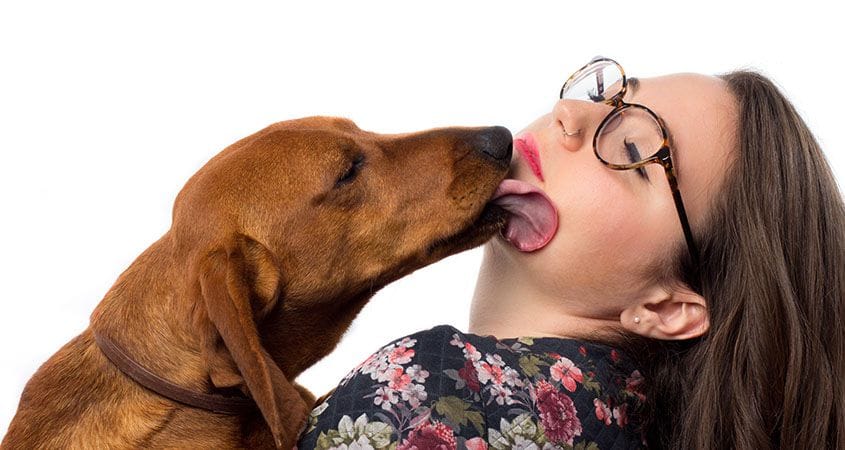 Most Googled Questions About Dogs - dog licking woman on face
