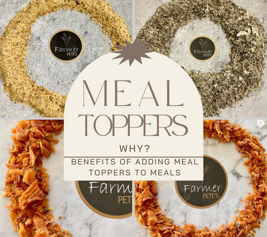 What are Meal Toppers for Dogs?