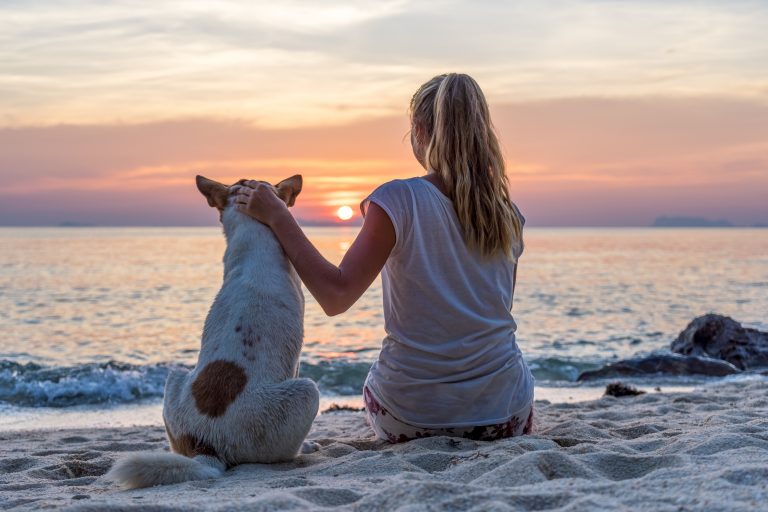 Woman saying goodbye pet dog at sunset on the beach