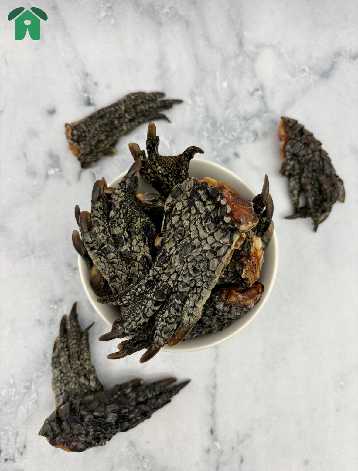 Crocodile Pet Treats