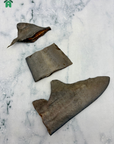 Shark Tail & Fin