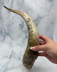Goat Horns