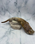 Goat Horns