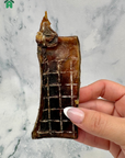 Shark Skin Strips