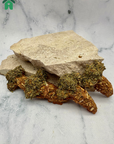 Carrot Nibbles 4 pc