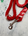 Eco-Friendly Dog Leads