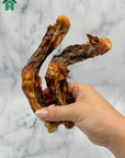 Crocodile Leg Bones