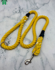 Eco-Friendly Dog Leads