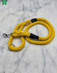 Eco-Friendly Dog Leads
