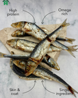 Dehydrated Pilchards