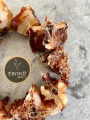 Crocodile Tail Bone Chunks