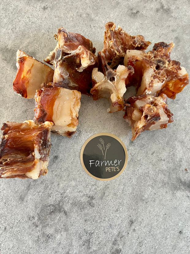 Crocodile Tail Bone Chunks