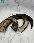 Buffalo Horn 1/2