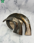 Buffalo Horn 1/2