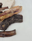 Dental Chew Bundle (Moderate Chewer, Steady Gnawer)