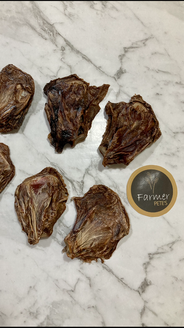 Kangaroo shoulder blades included in the Farmer Pete's mixed Roo bone pack. 