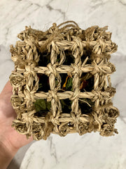 Australian made tasty cube enrichment toy by Farmer Pete's.
