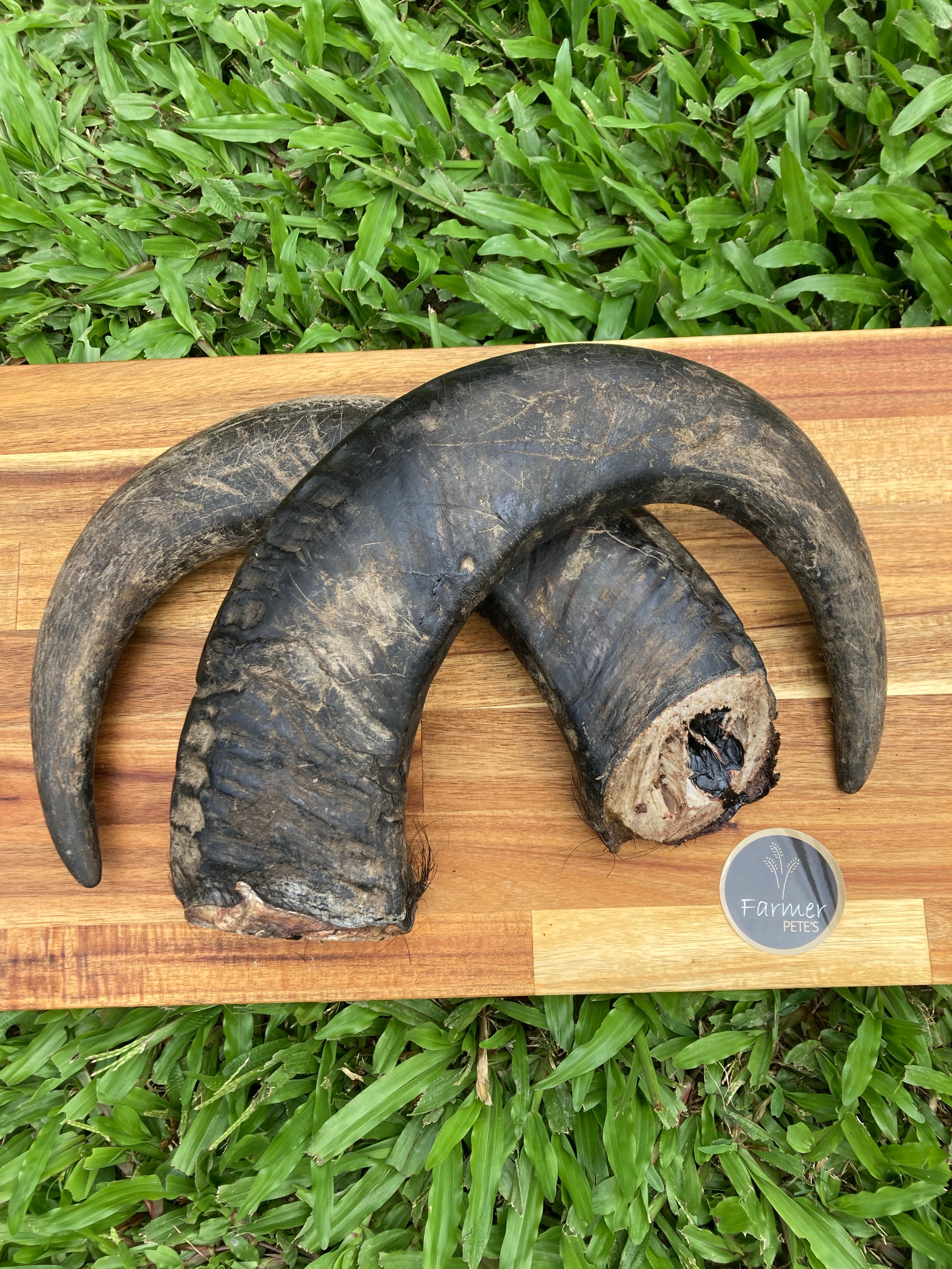 Buffalo Horn dog chew by Farmer Pete's