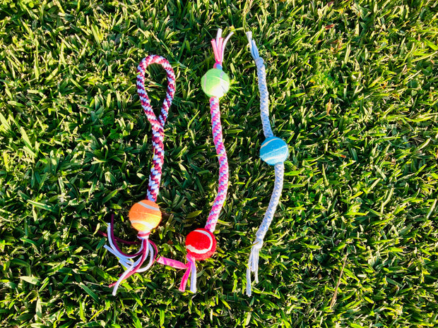 Mini/small tug/throw toy for dogs, 3 varieties