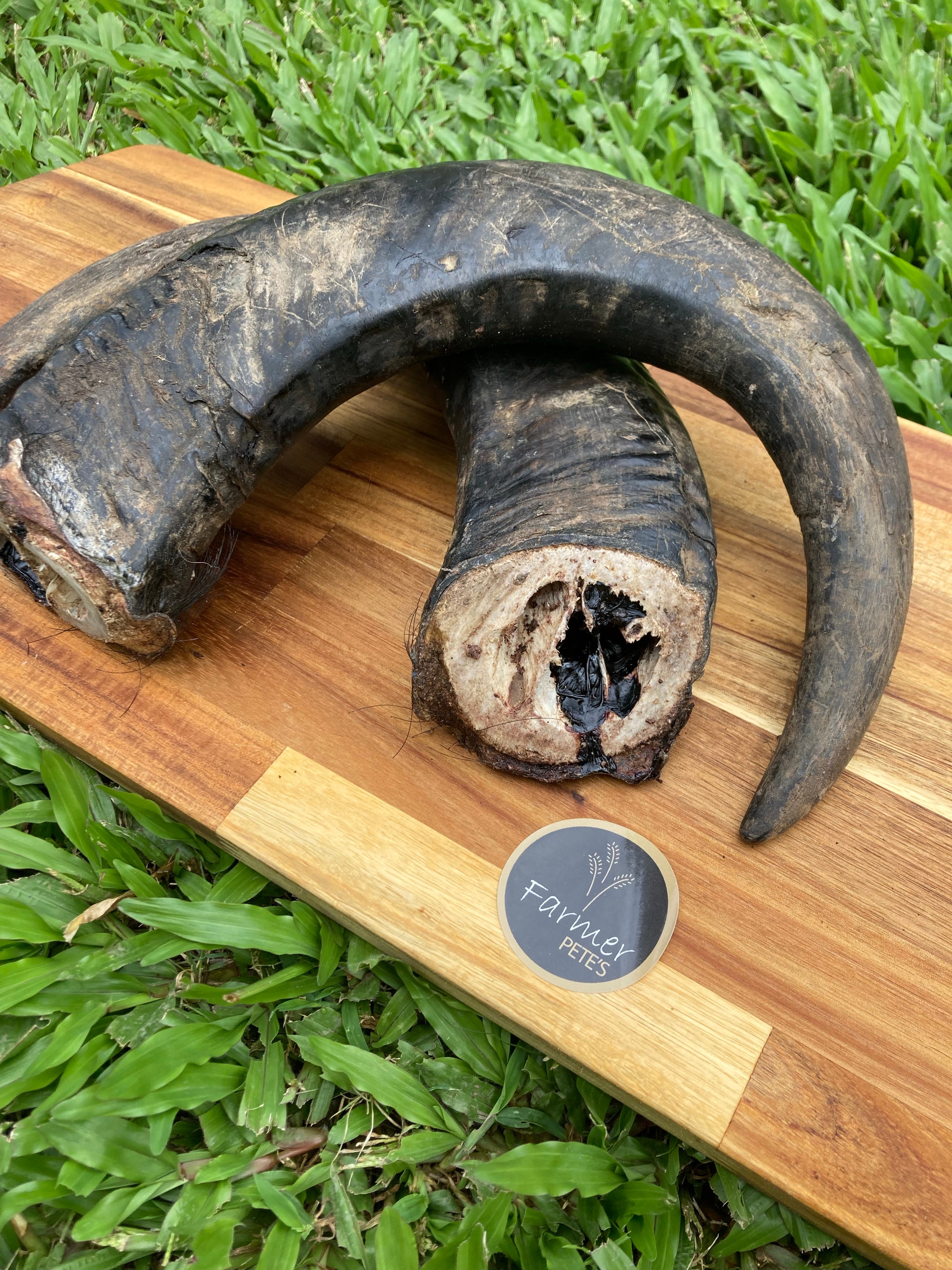 Buffalo Horn dog chew