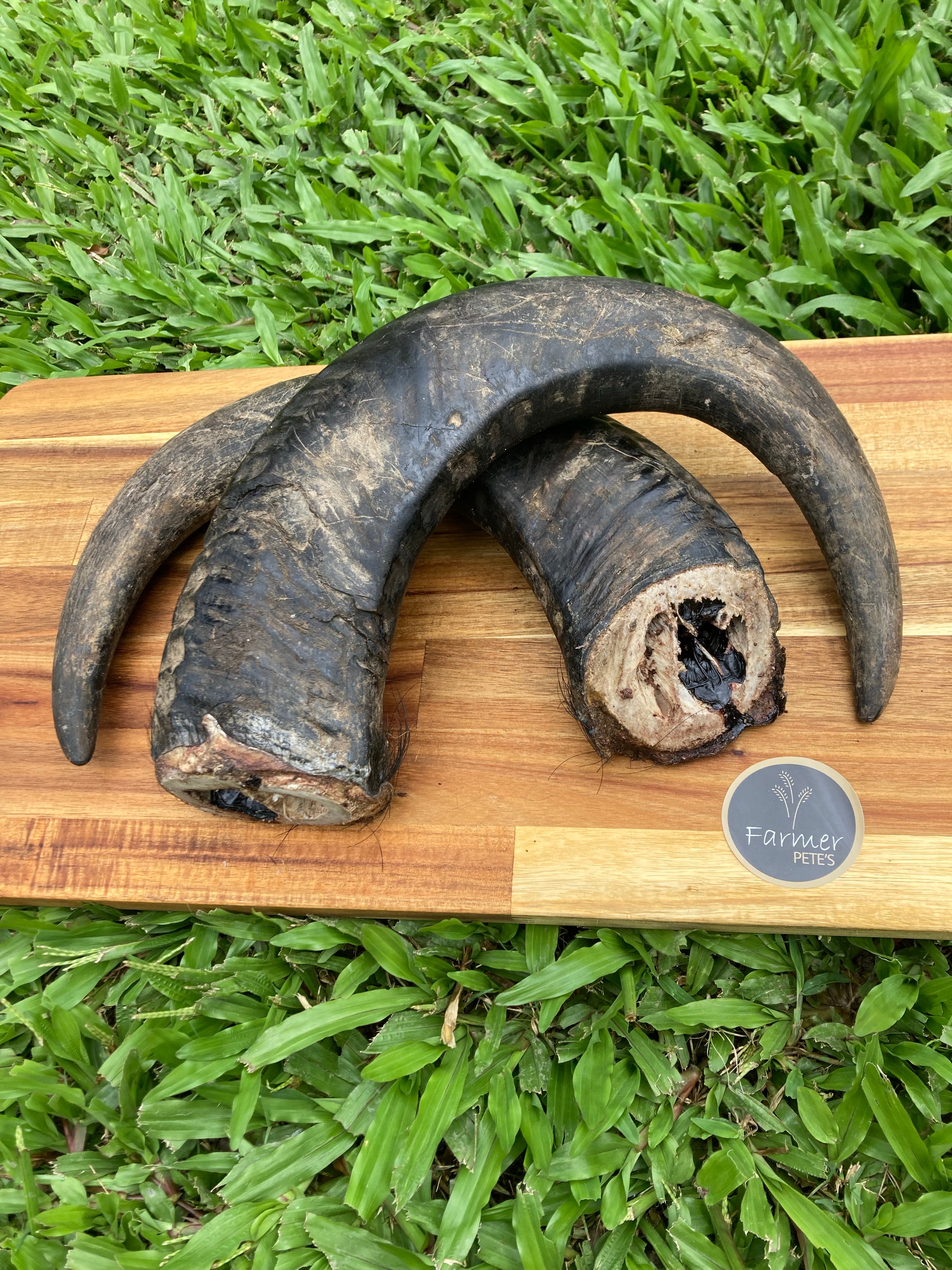 Buffalo Horn Dog Treat